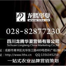 品牌策劃與網絡營銷 從策略到執(zhí)行的全方位解析