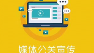 智聯(lián)灣區(qū)，網贏未來 廣東省網絡推廣與市場營銷整合策劃方案